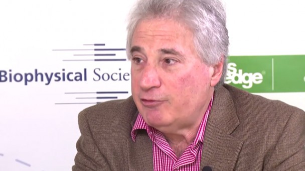 Interview with Ed Egelman, PhD, 2015-2016 BPS President