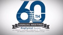 Preview of BPS 60th Annual Meeting in LA with the 2016 Meeting Program Co-Chairs