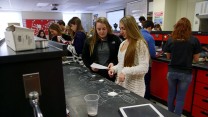 Collaborative program aimed at improving STEM at High School and Elementary levels